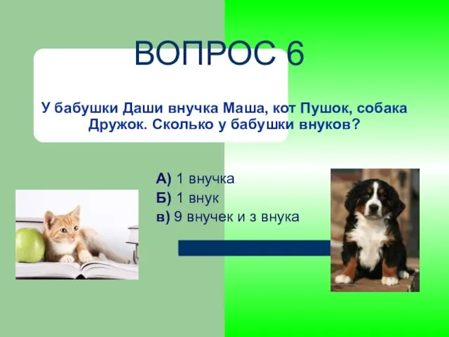 У бабушки Даши внучка Маша, кот Пушок, собака Дружок. Сколько у бабушки