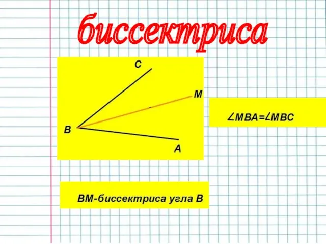 биссектриса