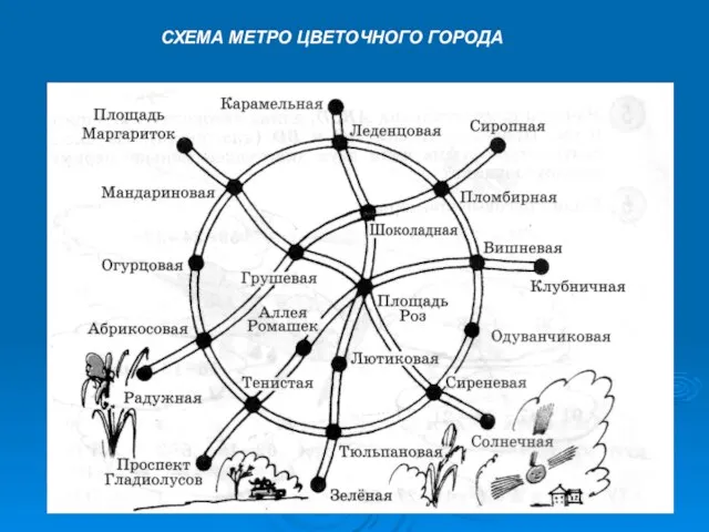 СХЕМА МЕТРО ЦВЕТОЧНОГО ГОРОДА