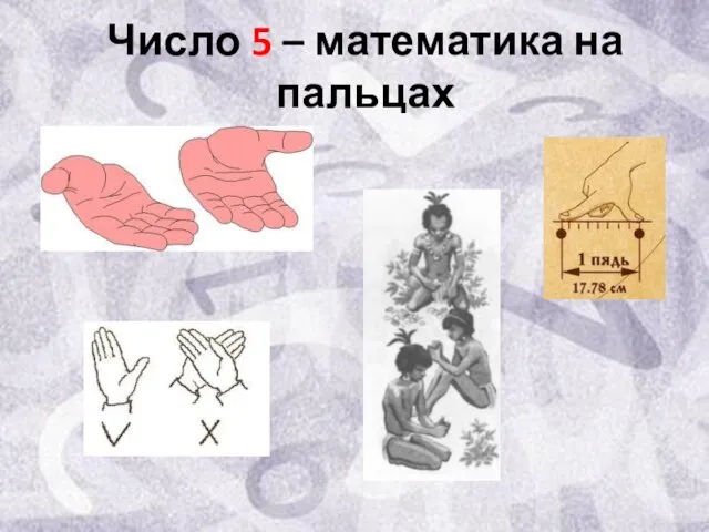 Число 5 – математика на пальцах