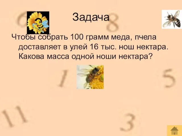 Чтобы собрать 100 грамм меда, пчела доставляет в улей 16 тыс. нош