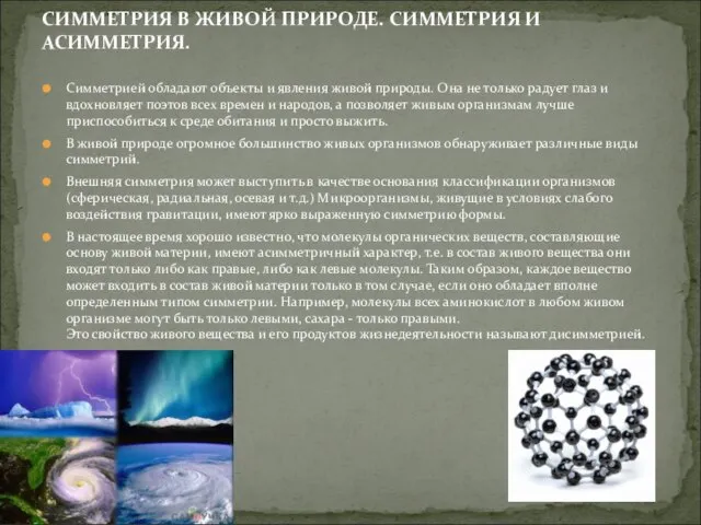 Симметрией обладают объекты и явления живой природы. Она не только радует глаз