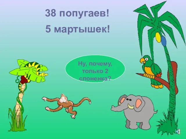 38 попугаев! Ну, почему, только 2 слоненка? 5 мартышек!