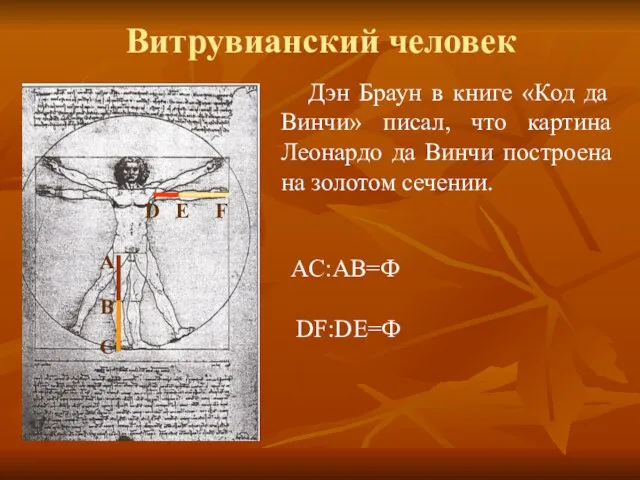 Витрувианский человек Дэн Браун в книге «Код да Винчи» писал, что картина