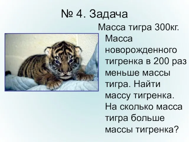 № 4. Задача Масса тигра 300кг. Масса новорожденного тигренка в 200 раз