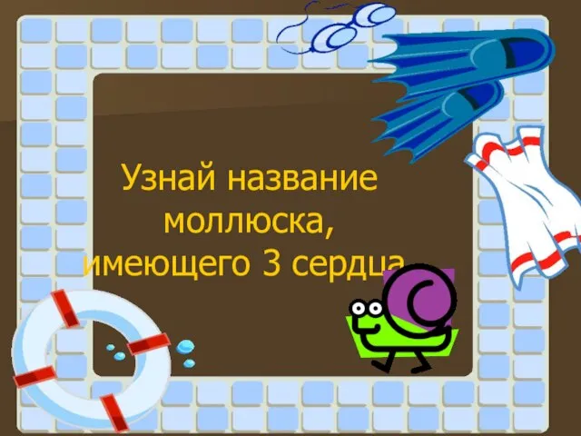 Узнай название моллюска, имеющего 3 сердца.