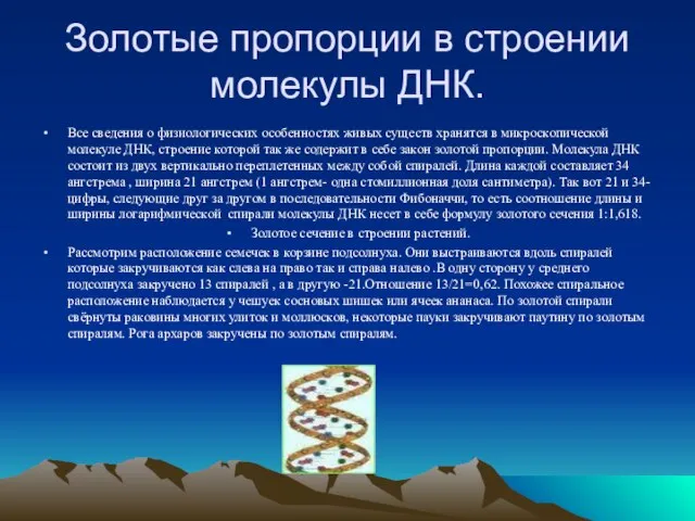 Золотые пропорции в строении молекулы ДНК. Все сведения о физиологических особенностях живых