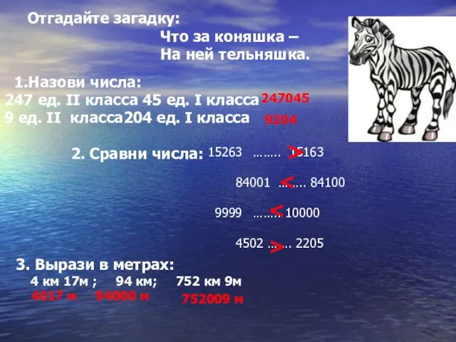 Отгадайте загадку: Что за коняшка – На ней тельняшка. 1.Назови числа: 247