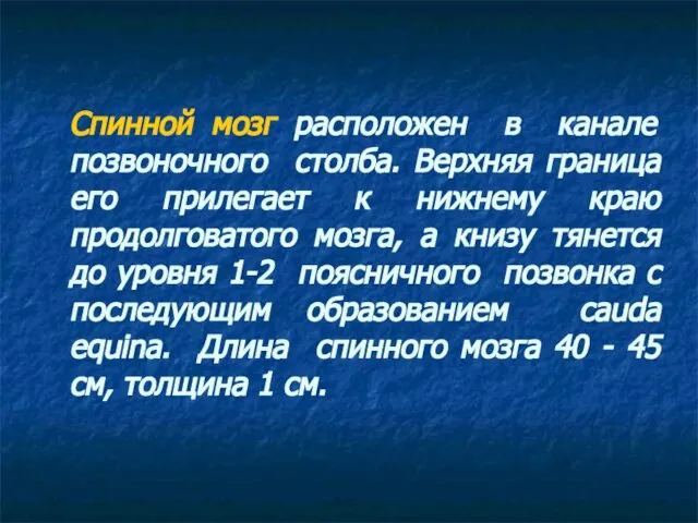 Спинной мозг расположен в канале позвоночного столба. Верхняя граница его прилегает к