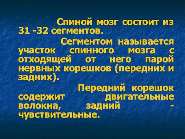 Спиной мозг состоит из 31 -32 сегментов. Сегментом называется участок спинного мозга