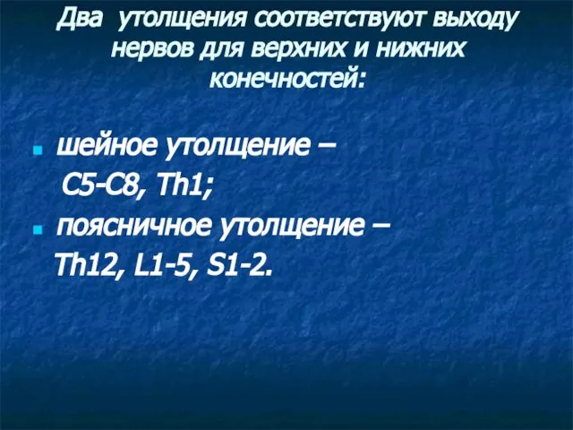 Два утолщения соответствуют выходу нервов для верхних и нижних конечностей: шейное утолщение