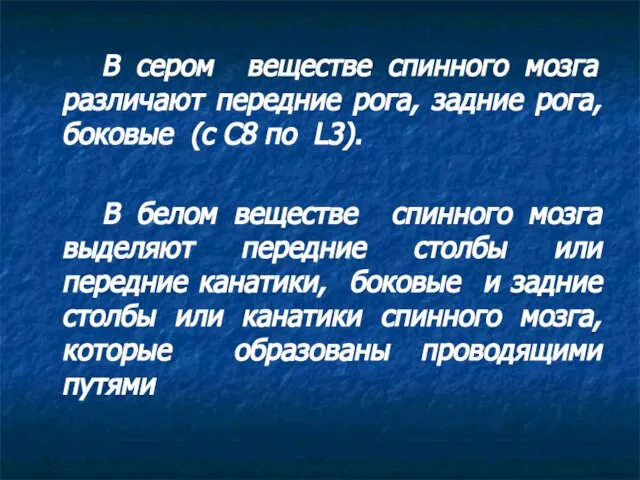 В сером веществе спинного мозга различают передние рога, задние рога, боковые (с