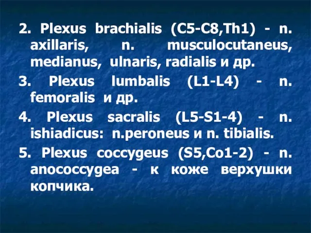 2. Plexus brachialis (C5-C8,Th1) - n. axillaris, n. musculocutaneus, medianus, ulnaris, radialis