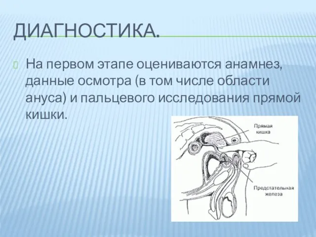 Диагностика. На первом этапе оцениваются анамнез, данные осмотра (в том числе области