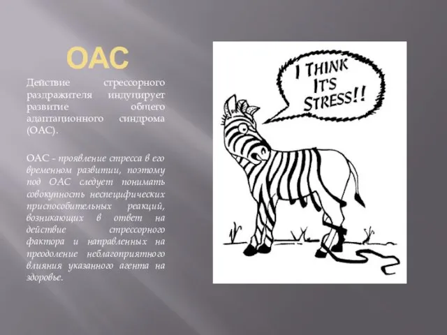 ОАС Действие стрессорного раздражителя индуцирует развитие общего адаптационного синдрома (ОАС). ОАС -
