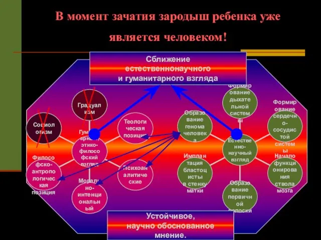 В момент зачатия зародыш ребенка уже является человеком! Сближение естественнонаучного и гуманитарного