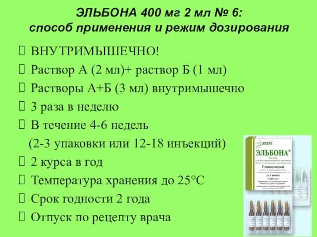 ЭЛЬБОНА 400 мг 2 мл № 6: способ применения и режим дозирования