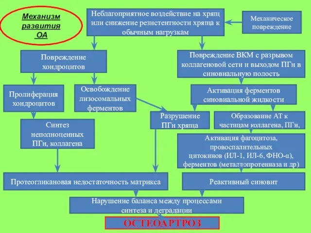 Неблагоприятное воздействие на хрящ или снижение резистентности хряща к обычным нагрузкам Повреждение