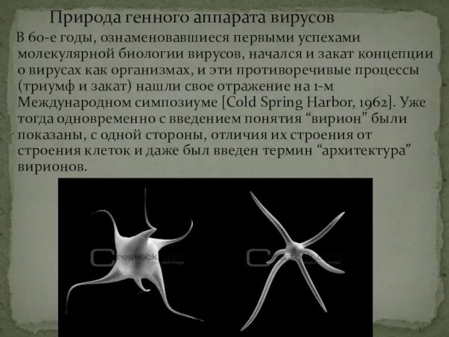 Природа генного аппарата вирусов В 60-е годы, ознаменовавшиеся первыми успехами молекулярной биологии