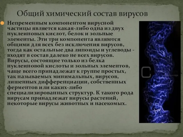 Общий химический состав вирусов Непременным компонентом вирусной частицы является какая-либо одна из