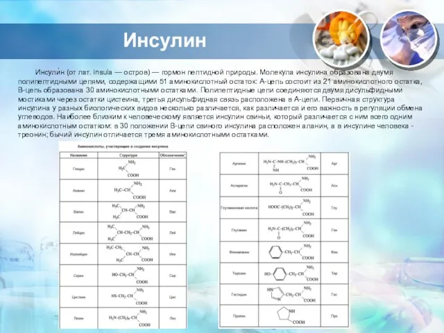 Инсулин Инсули́н (от лат. insula — остров) — гормон пептидной природы. Молекула