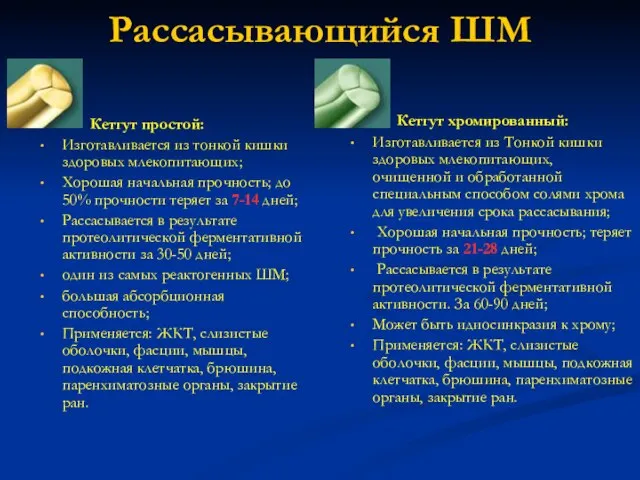 Рассасывающийся ШМ Кетгут простой: Изготавливается из тонкой кишки здоровых млекопитающих; Хорошая начальная