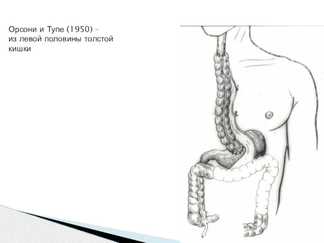 Орсони и Тупе (1950) – из левой половины толстой кишки