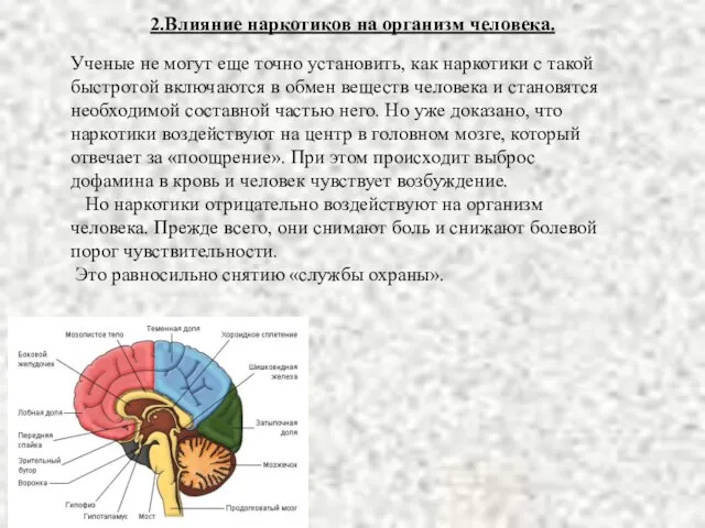 Ученые не могут еще точно установить, как наркотики с такой быстротой включаются