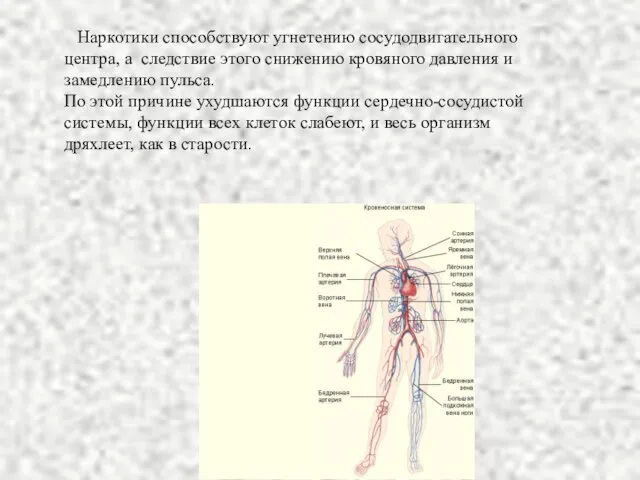 Наркотики способствуют угнетению сосудодвигательного центра, а следствие этого снижению кровяного давления и