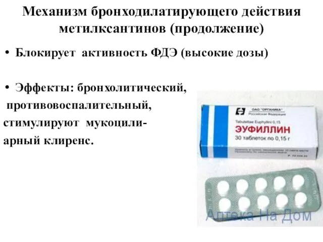 Механизм бронходилатирующего действия метилксантинов (продолжение) Блокирует активность ФДЭ (высокие дозы) Эффекты: бронхолитический,