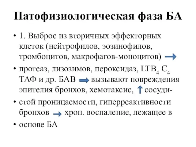 Патофизиологическая фаза БА 1. Выброс из вторичных эффекторных клеток (нейтрофилов, эозинофилов, тромбоцитов,