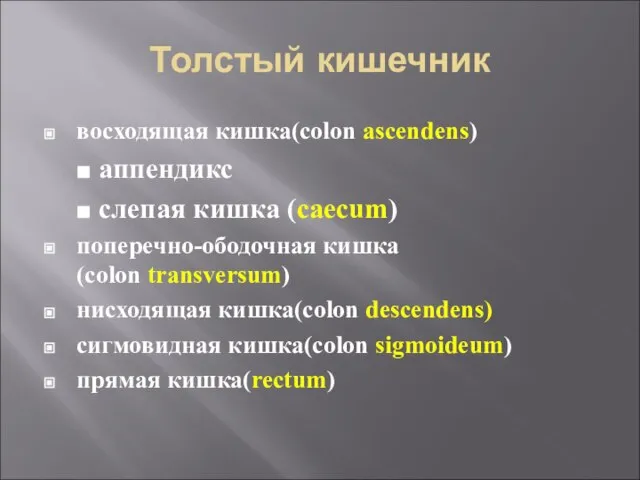 Толстый кишечник восходящая кишка(colon ascendens) аппендикс слепая кишка (caecum) поперечно-ободочная кишка (colon