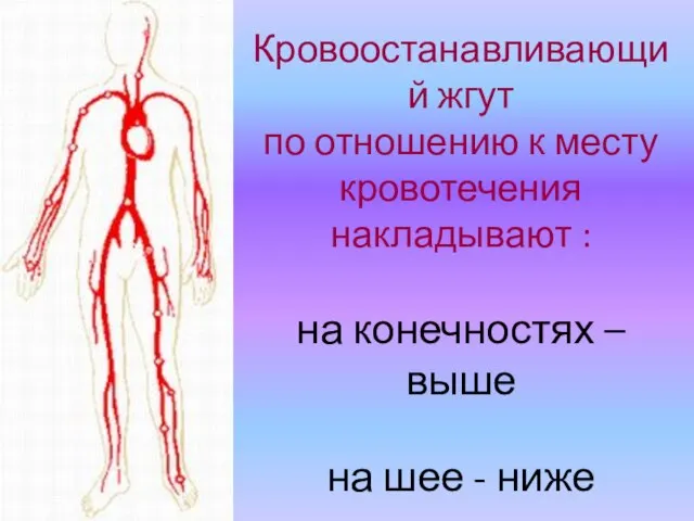 Кровоостанавливающий жгут по отношению к месту кровотечения накладывают : на конечностях –