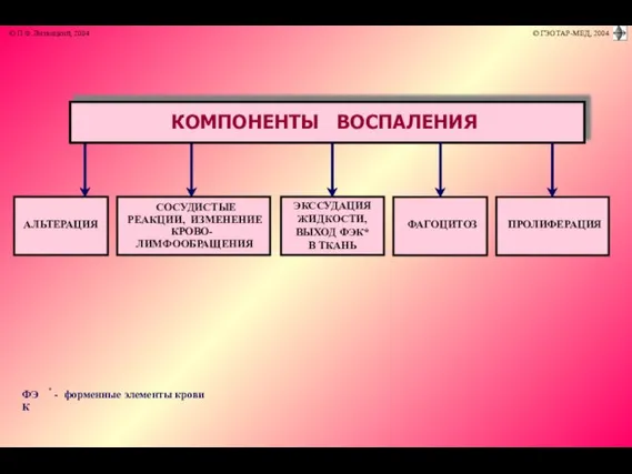 ФЭК * - форменные элементы крови АЛЬТЕРАЦИЯ СОСУДИСТЫЕ РЕАКЦИИ, ИЗМЕНЕНИЕ КРОВО- И