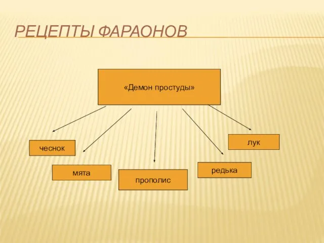 РЕЦЕПТЫ ФАРАОНОВ «Демон простуды» чеснок лук мята редька прополис