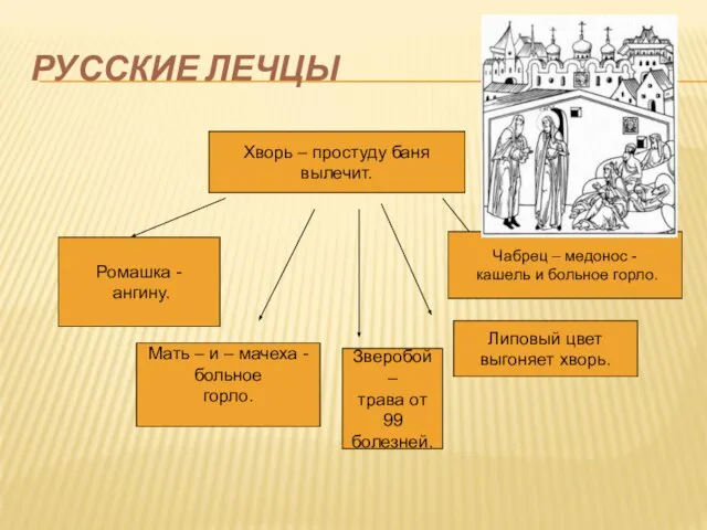 РУССКИЕ ЛЕЧЦЫ Хворь – простуду баня вылечит. Ромашка - ангину. Чабрец –