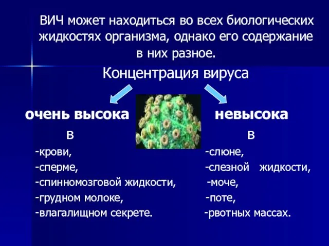 ВИЧ может находиться во всех биологических жидкостях организма, однако его содержание в