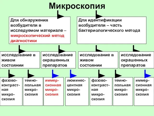 Микроскопия Для обнаружения возбудителя в исследуемом материале – микроскопический метод диагностики Для