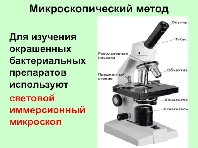 Микроскопический метод Для изучения окрашенных бактериальных препаратов используют световой иммерсионный микроскоп