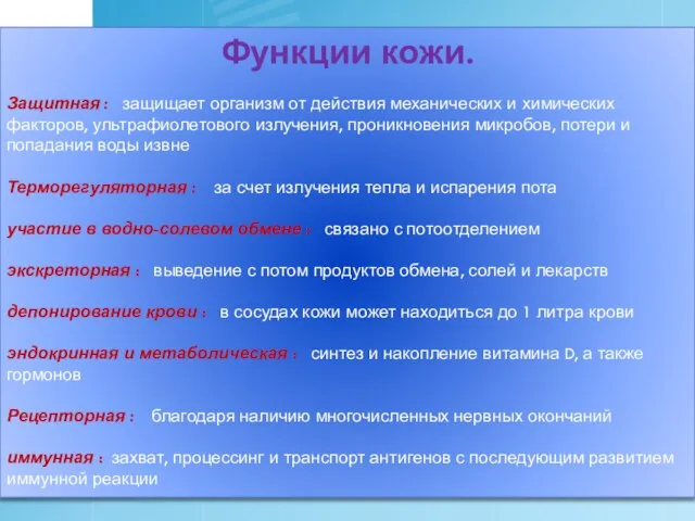 Функции кожи. Защитная : защищает организм от действия механических и химических факторов,