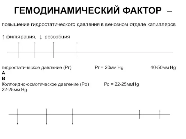 ГЕМОДИНАМИЧЕСКИЙ ФАКТОР – повышение гидростатического давления в венозном отделе капилляров ↑ фильтрация,