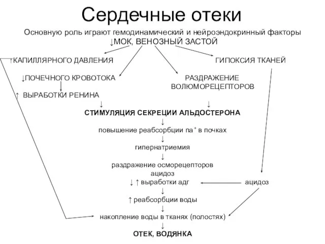 Сердечные отеки Основную роль играют гемодинамический и нейроэндокринный факторы ↓МОК, ВЕНОЗНЫЙ ЗАСТОЙ