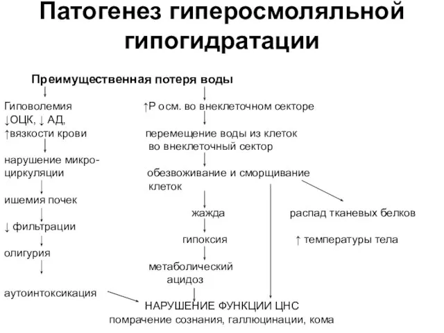 Патогенез гиперосмоляльной гипогидратации Преимущественная потеря воды Гиповолемия ↑Р осм. во внеклеточном секторе