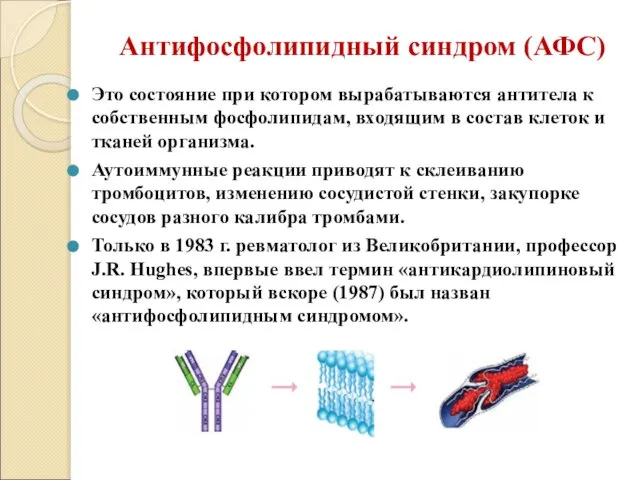 Антифосфолипидный синдром (АФС) Это состояние при котором вырабатываются антитела к собственным фосфолипидам,