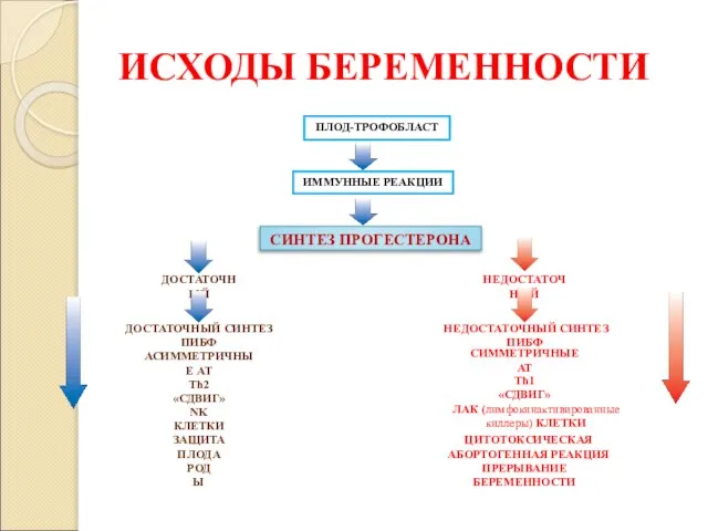 ИСХОДЫ БЕРЕМЕННОСТИ ПЛОД-ТРОФОБЛАСТ ИММУННЫЕ РЕАКЦИИ СИНТЕЗ ПРОГЕСТЕРОНА НЕДОСТАТОЧНЫЙ ДОСТАТОЧНЫЙ НЕДОСТАТОЧНЫЙ СИНТЕЗ ПИБФ