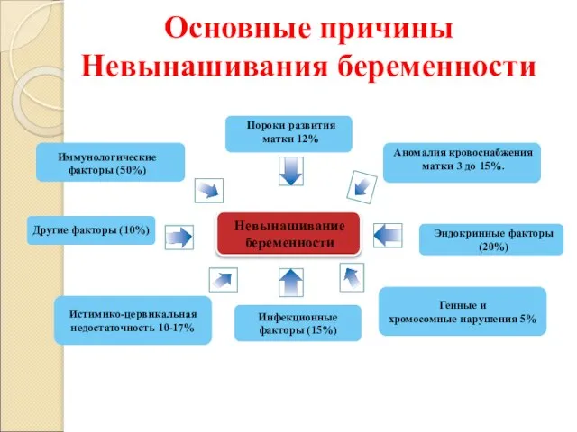 Невынашивание беременности Иммунологические факторы (50%) Пороки развития матки 12% Другие факторы (10%)