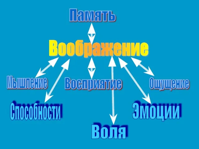 Воображение Память Ощущение Мышление Воля Способности Эмоции Восприятие