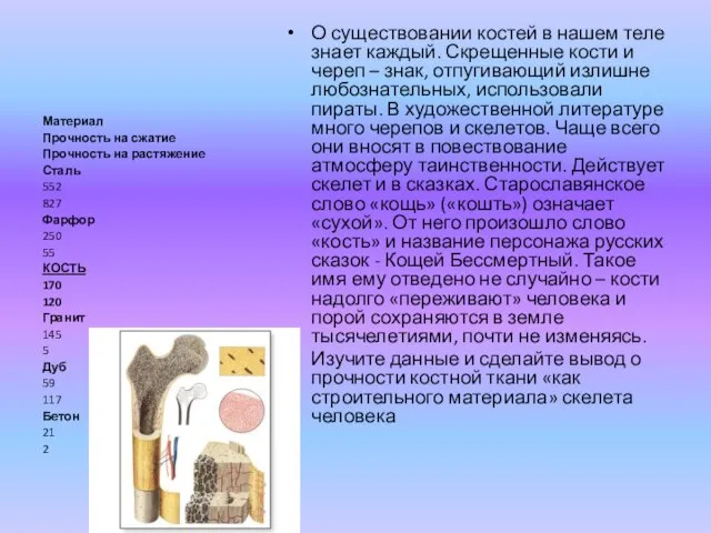 О существовании костей в нашем теле знает каждый. Скрещенные кости и череп