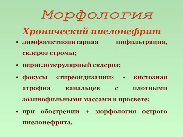 Морфология Хронический пиелонефрит лимфогистиоцитарная инфильтрация, склероз стромы; перигломерулярный склероз; фокусы «тиреоидизации» -