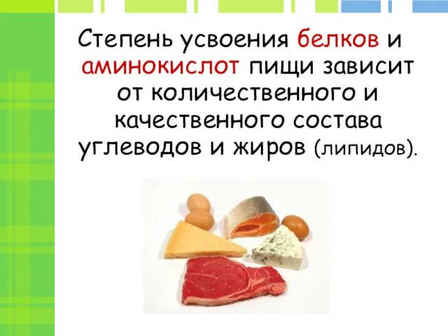 Степень усвоения белков и аминокислот пищи зависит от количественного и качественного состава углеводов и жиров (липидов).